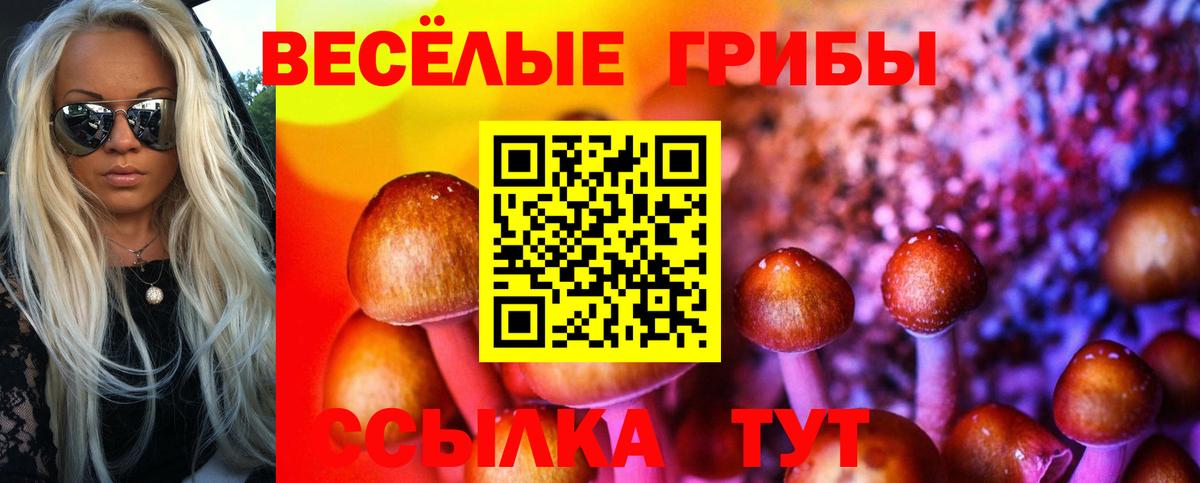 Каменка  Псилоцибиновые грибы мухоморы  продажа наркотиков  Вход с VPN  Галлюциногенные грибы ЛСД 